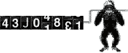 visitor counter
